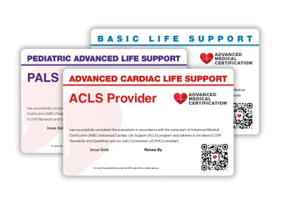 Right Column - Image