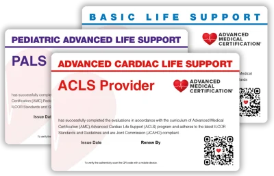 Right Column - Image